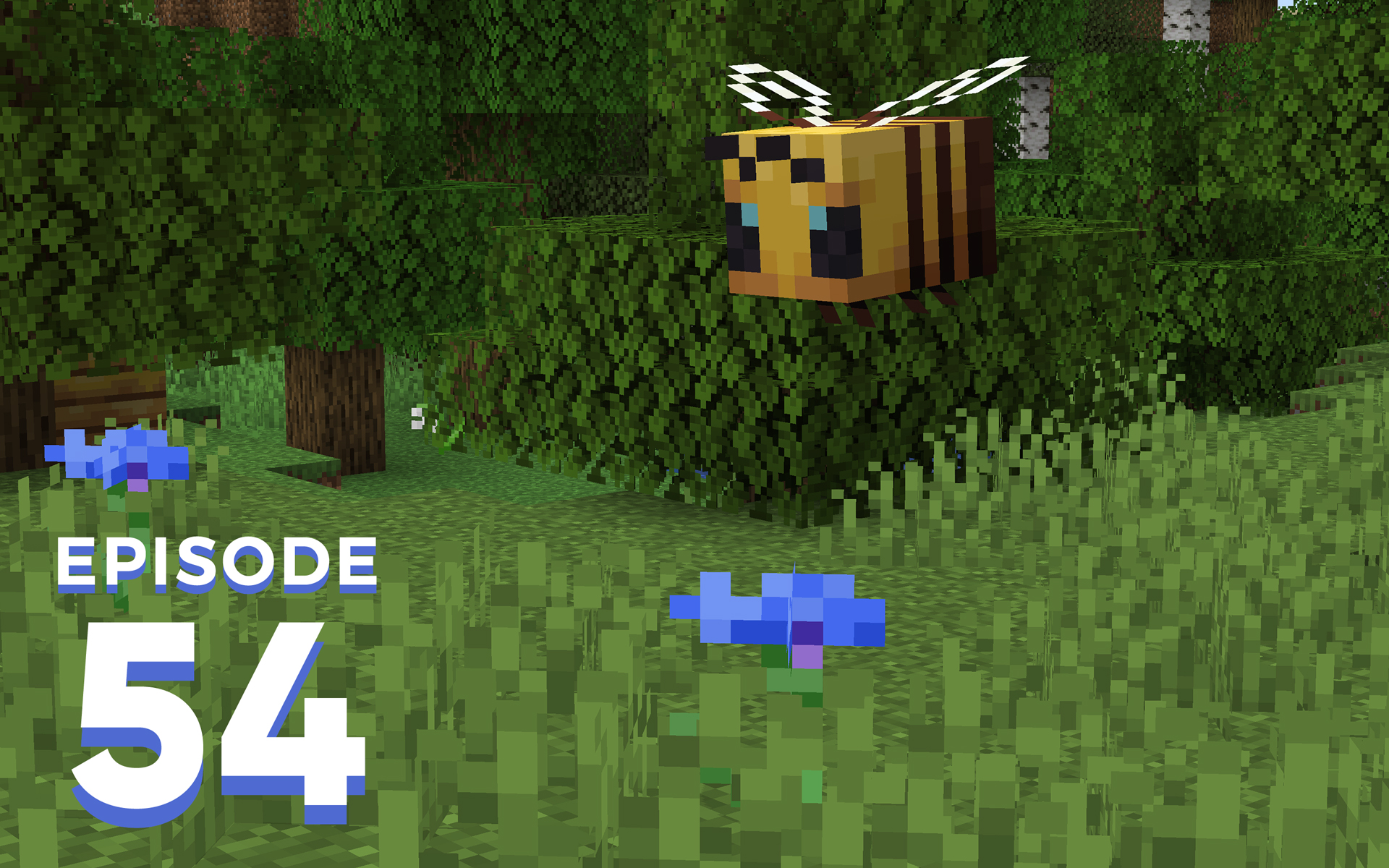 The Spawn Chunks 054: To Bee Or Not To Bee