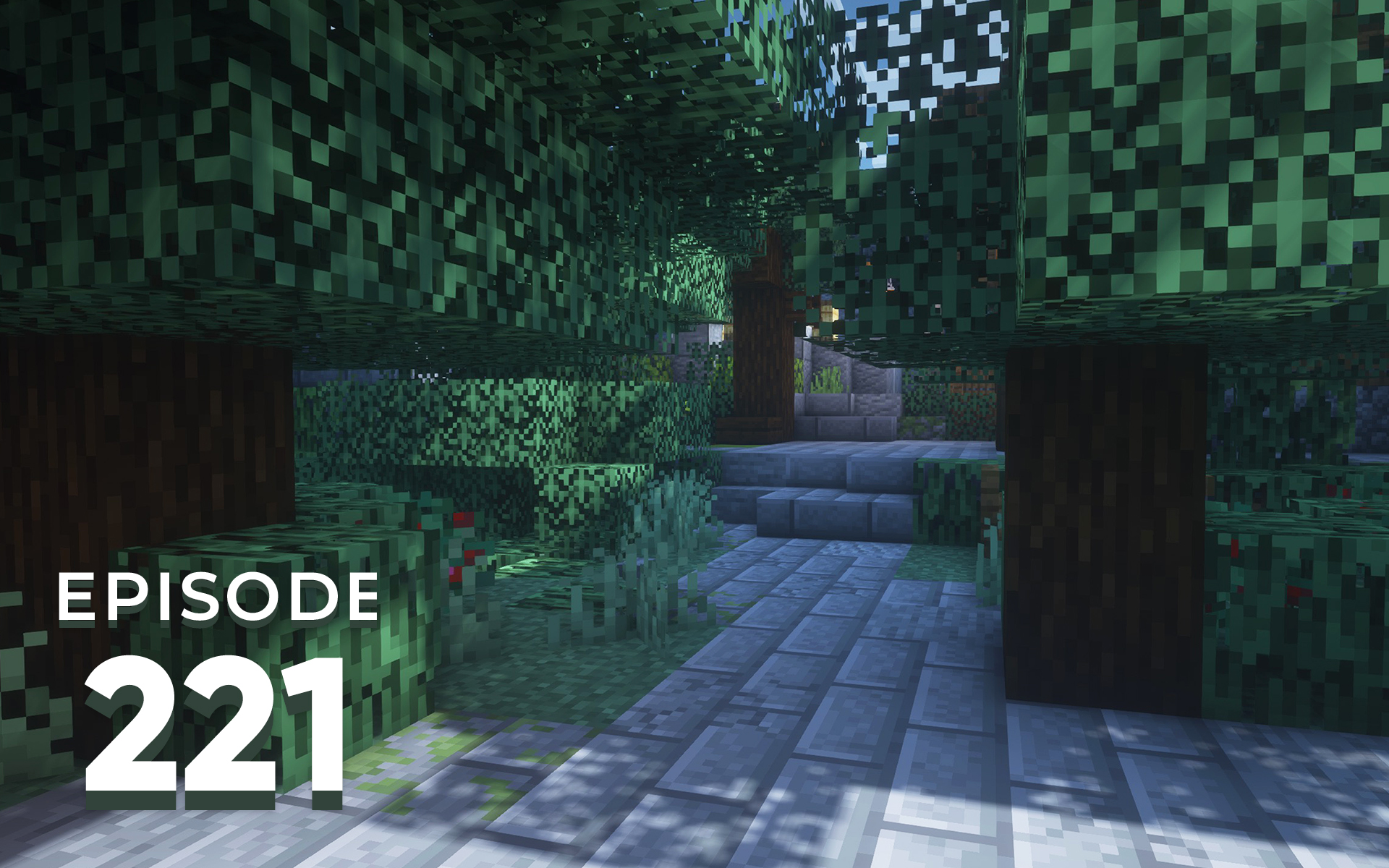 The Spawn Chunks 221: The Sound Of Confusion